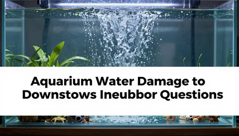 Aquarium Water Damage to Downstairs Neighbor Insurance Questions